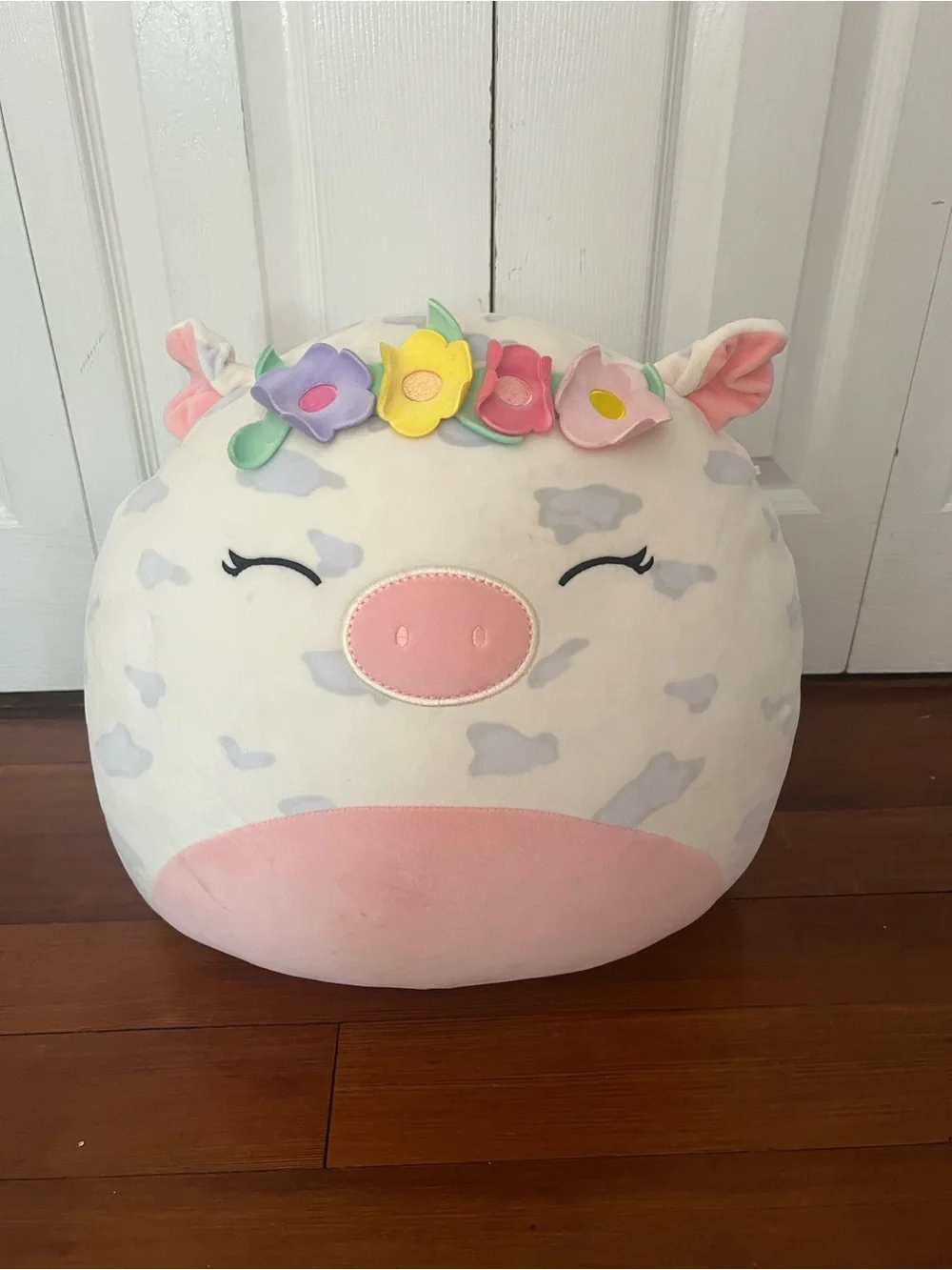 Two Squishmallows Nixie and Rosie